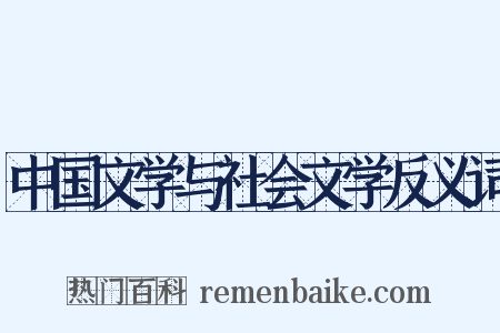 中国文学与社会文学反义词是什么意思的图片
